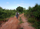 20180519_IFN Amazônia_MA_080150_Foto Krüger Florestal_ajustada
