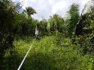 20180519_IFN Amazônia_MA_093940_Foto Krüger Florestal