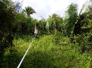 20180519_IFN Amazônia_MA_093940_Foto Krüger Florestal_ajustada