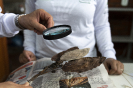 2018_IFN_Herbário UFAC_012_Foto SFB-André Dib