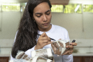 2018_IFN_Herbário UFAC_021_Foto SFB-André Dib