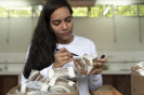 2018_IFN_Herbário UFAC_023_Foto SFB-André Dib