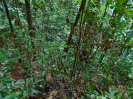 DSC00675