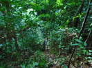 DSC00676