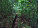DSC00688