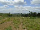 DSC00692