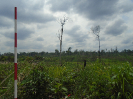 DSC00701