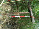 DSC00705
