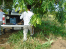 DSC00709
