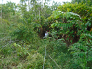 DSC00713