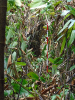 DSC00720