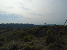 DSC00731
