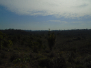 DSC00732