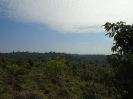 DSC00733