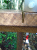 DSC00739