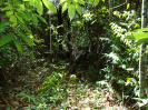 DSC00744