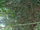 DSC00745