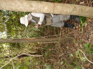DSC00747