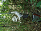 DSC00748