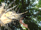 DSC00757