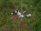 DSC00882