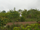 DSC00884