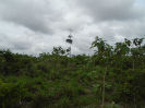 DSC00890