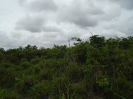 DSC00895