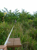 DSC00896