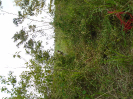 DSC00899