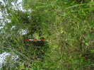 DSC00901