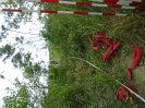 DSC00902