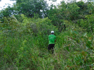 DSC00903