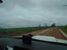 DSC00908