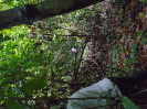 DSC00919