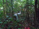 DSC00920