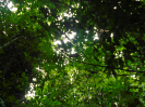 DSC00923