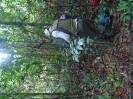 DSC00926