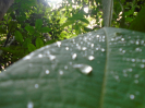 DSC00933