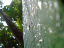 DSC00934