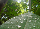 DSC00935