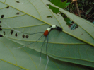 DSC00940