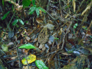 DSC00945
