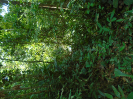 DSC00947