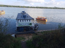 KRUGER_IFN RR (5)