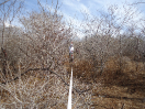 20131023_IFN-CE_83_3_2492