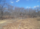 20131204_IFN-CE_238_1_560