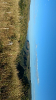 20170621_IFN Cerrado_TO_0007_Serra do Carmo_Foto Inésio Milani Júnior_Krüger Florestal