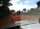 20180320_IFN Cerrado_MT_0026_Foto Ricardo Trotta_Saltus