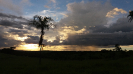 20180327_IFN Cerrado_Goiás_181018_Foto Giovana Garlet_Saltus